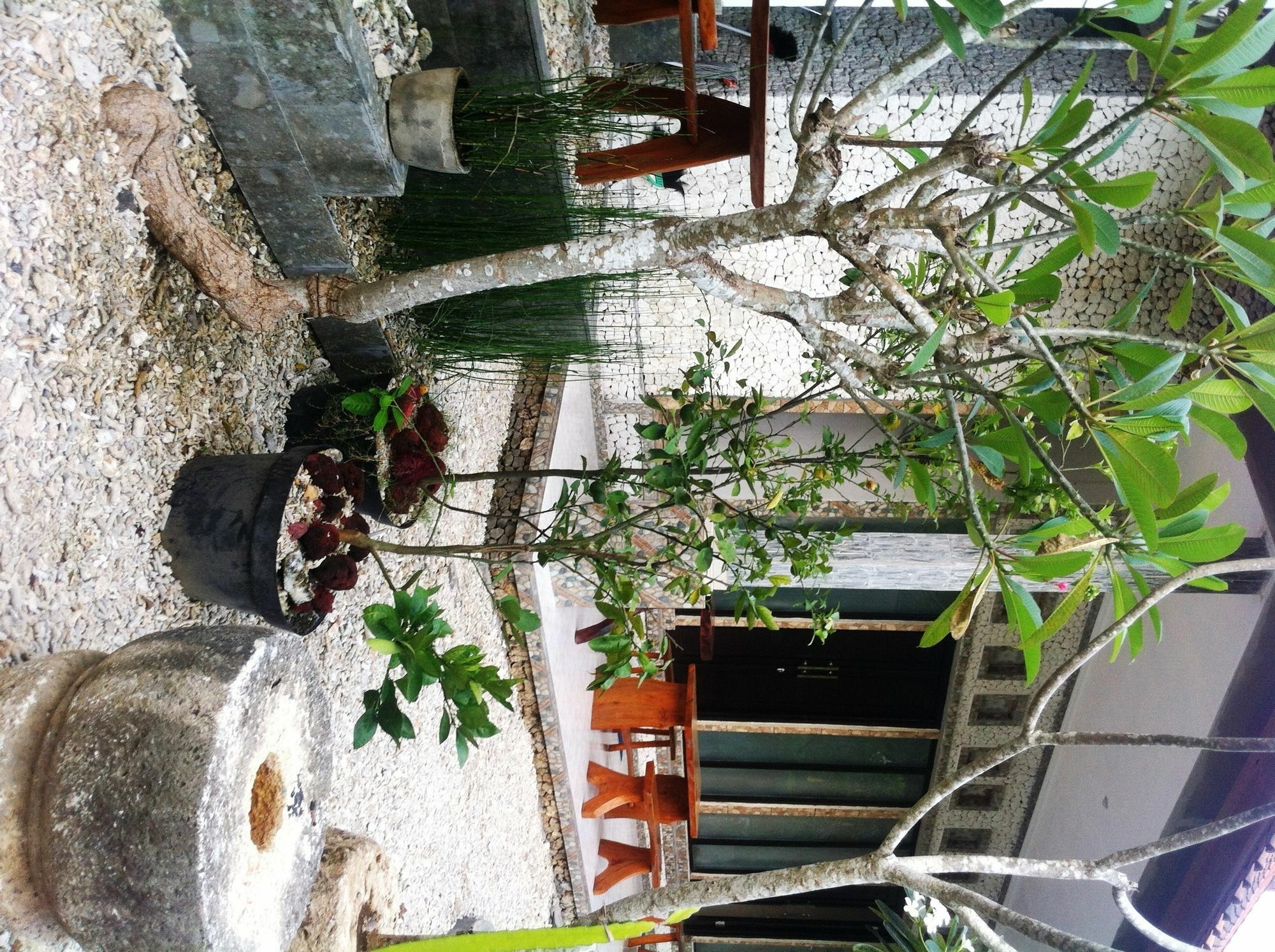 Villa Green House Ped Экстерьер фото