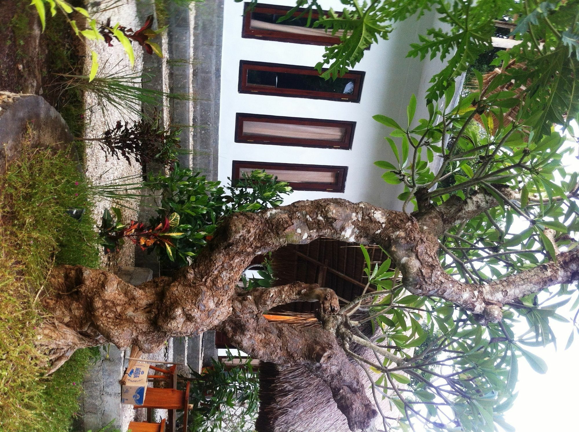 Villa Green House Ped Экстерьер фото